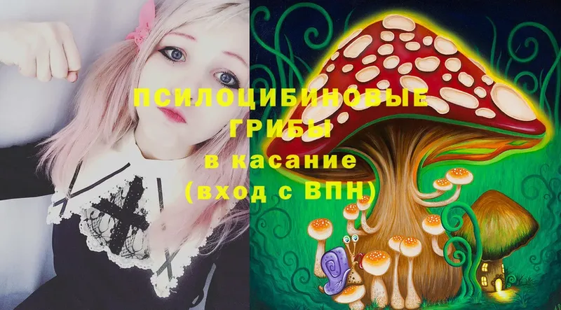 Галлюциногенные грибы MAGIC MUSHROOMS  Катайск 